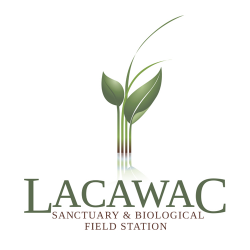 Lacawac Sanctuary and Field Station